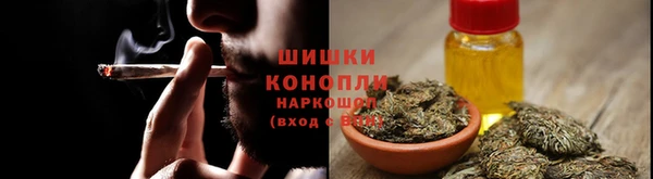 дживик Арсеньев
