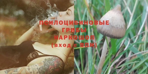 спайс Аркадак