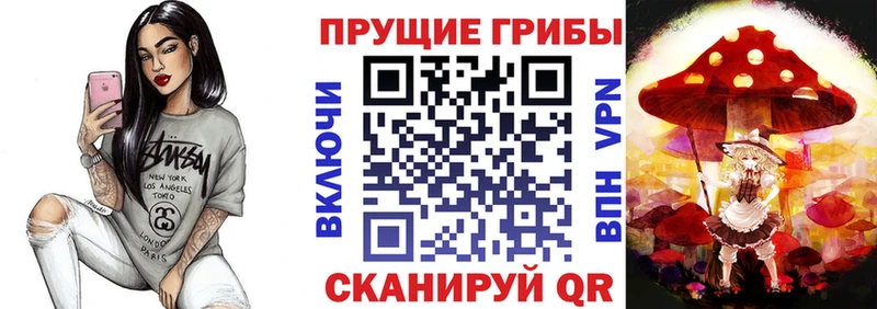 Псилоцибиновые грибы Psilocybe  Железногорск 